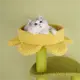 Dog Tent Bed - - Blessing 5