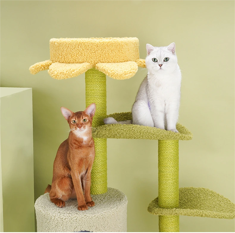 Dog Tent Bed - - Blessing 3
