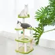 Hotcustom Pet House Blessing Brand 7