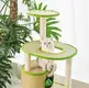 Hotcustom Pet House Blessing Brand 5