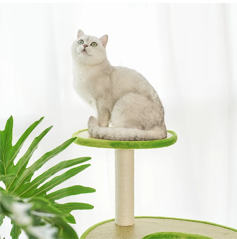 Hotcustom Pet House Blessing Brand 3