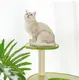 Hotcustom Pet House Blessing Brand 3