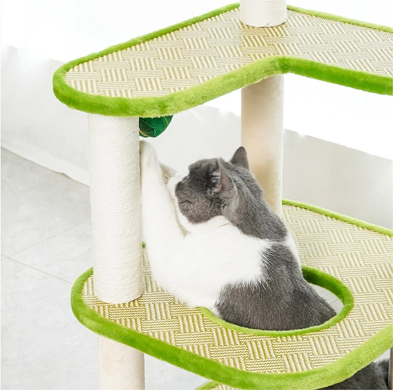 Hotcustom Pet House Blessing Brand 4