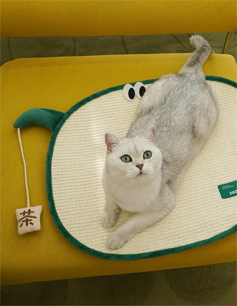 New Wholesale Cat Supplies Company | Blessing 5