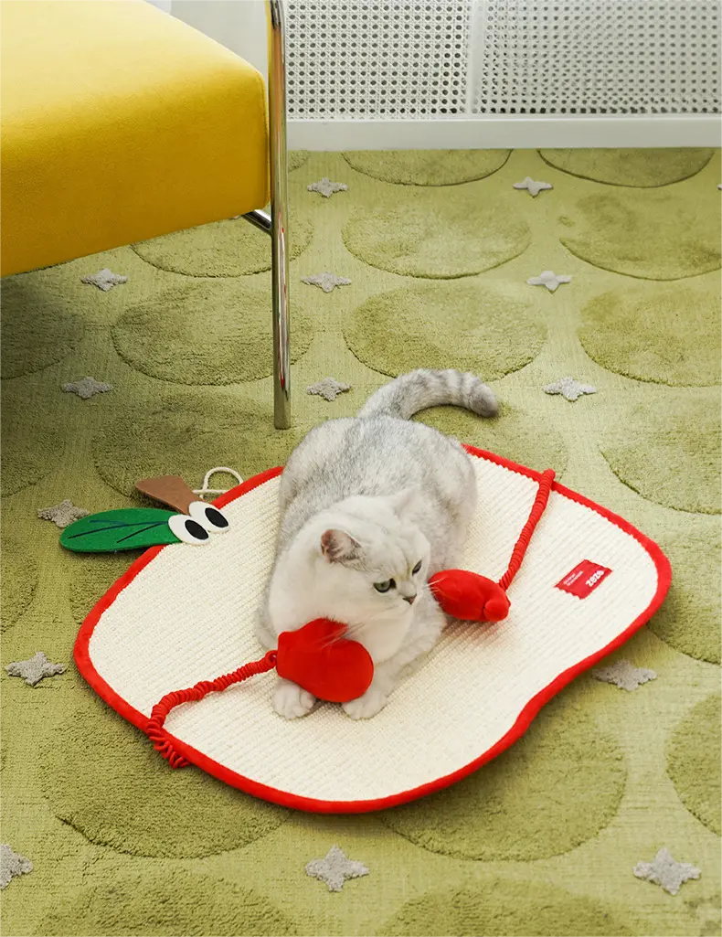New Wholesale Cat Supplies Company | Blessing 4