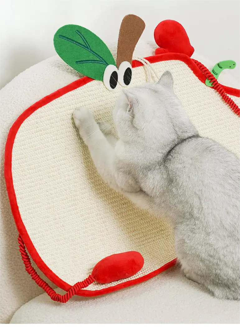 New Wholesale Cat Supplies Company | Blessing 2
