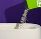 Latest Cat Litter Manufacturer Blessing Company 6