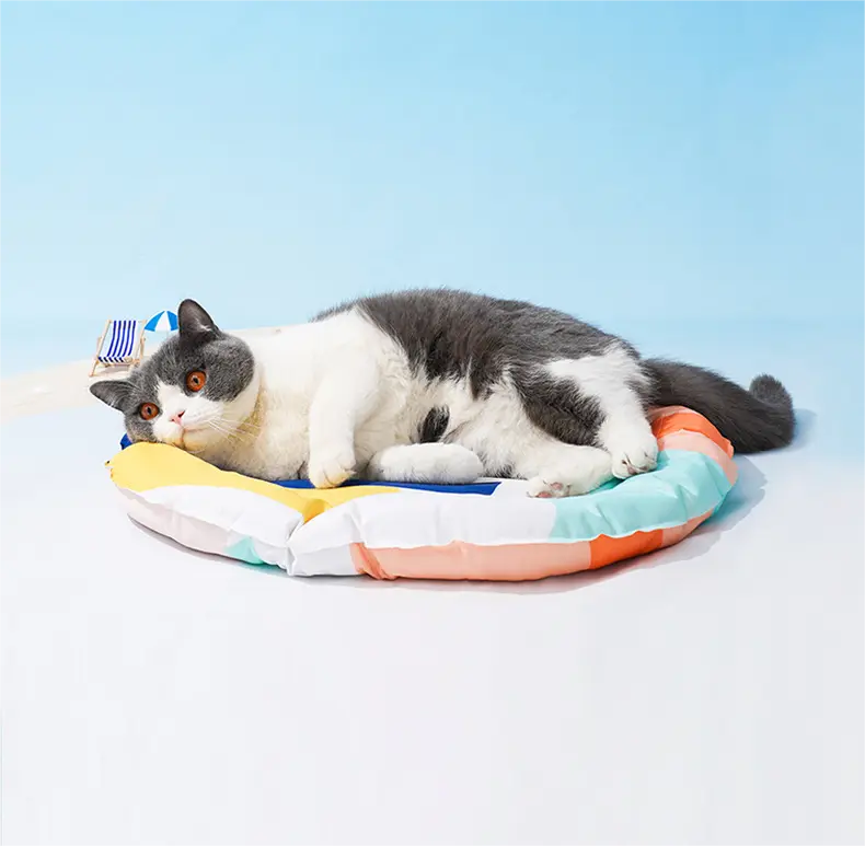 Blessing New Pet Tent Bed 5