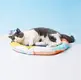 Blessing New Pet Tent Bed 5