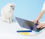Blessing New Pet Tent Bed 2