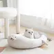 Hot Extra Large Dog Tent Bed Blessing Brand 2