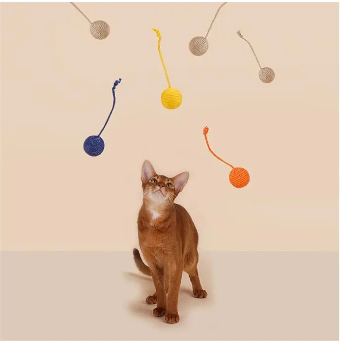Hotwholesale Dog Toys Blessing Brand 4