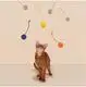Hotwholesale Dog Toys Blessing Brand 4