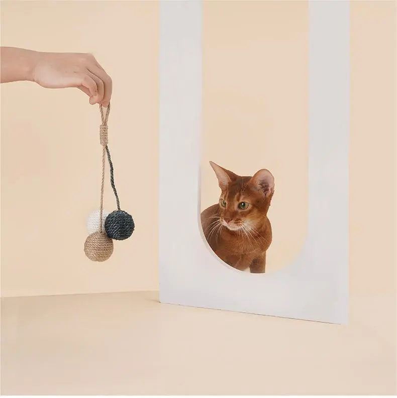 Cat Toy with Laser Blessing Brand 3