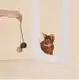 Cat Toy with Laser Blessing Brand 3