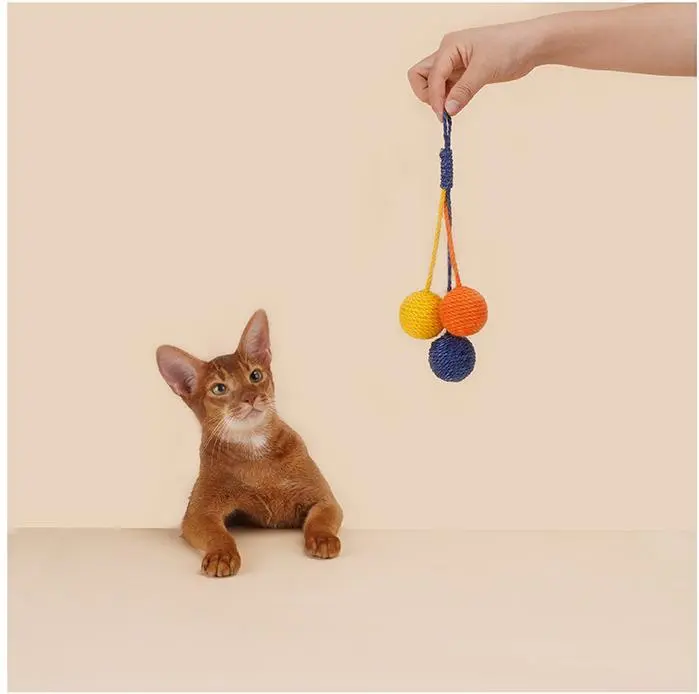 Hotwholesale Dog Toys Blessing Brand 3