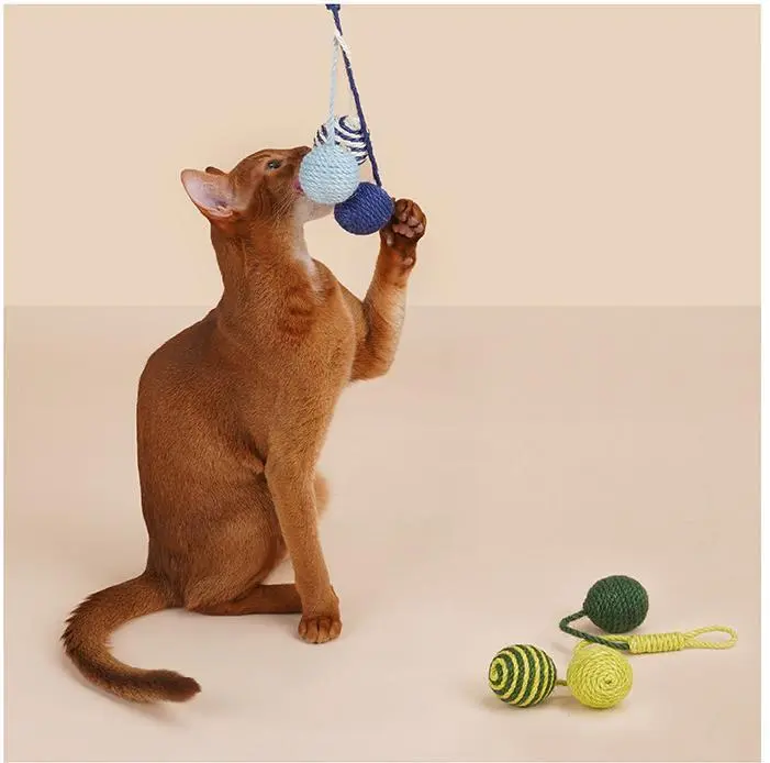Hotwholesale Dog Toys Blessing Brand 6