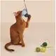 Hotwholesale Dog Toys Blessing Brand 6