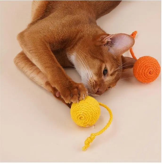 Cat Toy with Laser Blessing Brand 2