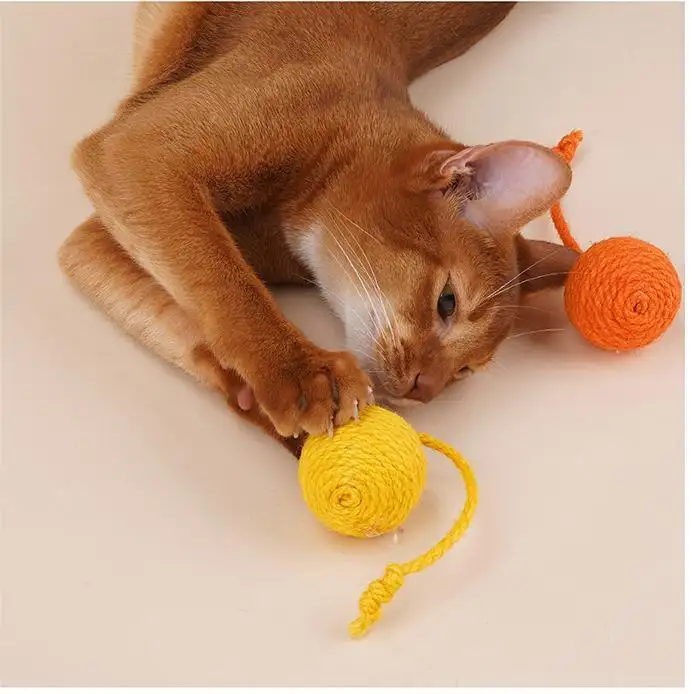 Cat Toy with Laser Blessing Brand 2