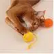Cat Toy with Laser Blessing Brand 2