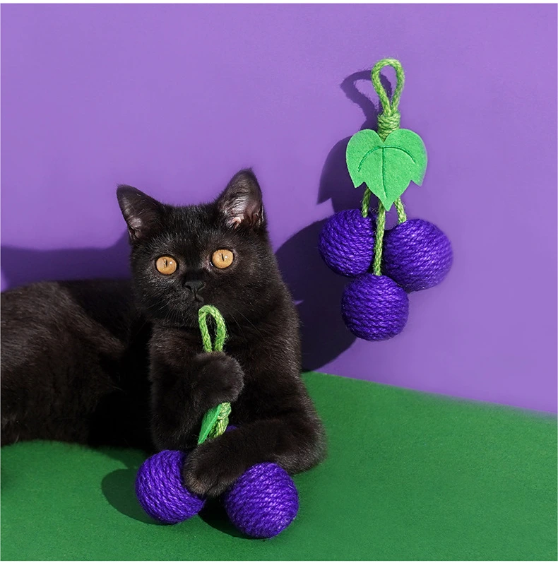 Best Dog Toy Wholesale Suppliers Price List | Blessing 2