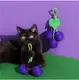 Best Dog Toy Wholesale Suppliers Price List | Blessing 2