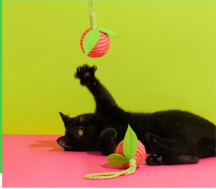 Blessing | OEM Wholesale Cat Supplies Manufacturers 3