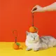 OEM Bulk Dog Toys Wholesale Bulk Dog Toys Wholesale Company 3