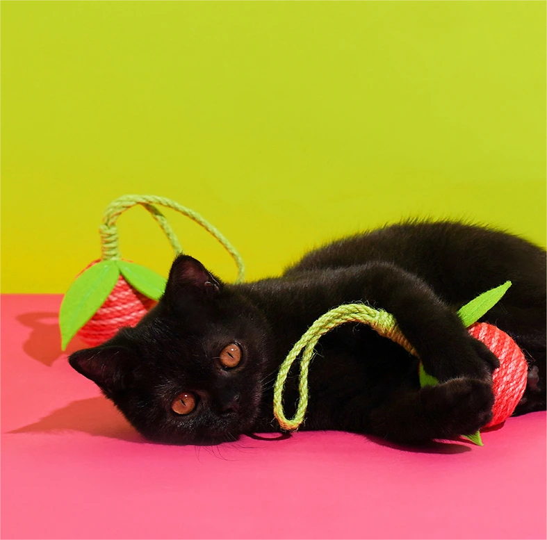Blessing | OEM Wholesale Cat Supplies Manufacturers 2