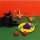 OEM Laser Cat Toy Blessing 6