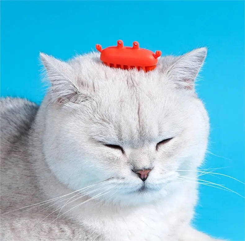 【Z1C00177】Krab Stijl Huisdier Interactief Speelgoed Kat Speelgoed Zelfhulp Relief Kat Bijtvast Huisdier Kat Benodigdheden 1