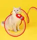 Blessing | OEM Bulk Dog Toys Wholesale Supply 3