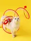 Blessing | OEM Bulk Dog Toys Wholesale Supply 2