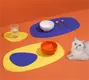 Wholesale Cat Supplies BlessingFactory 2