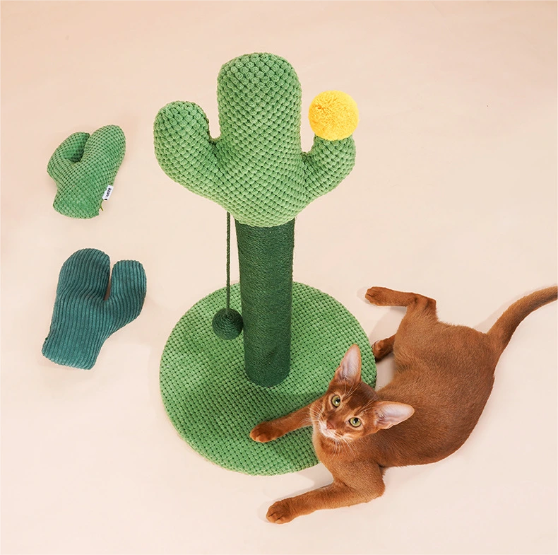 OEM Wholesale Cat Supplies Blessing Company 4