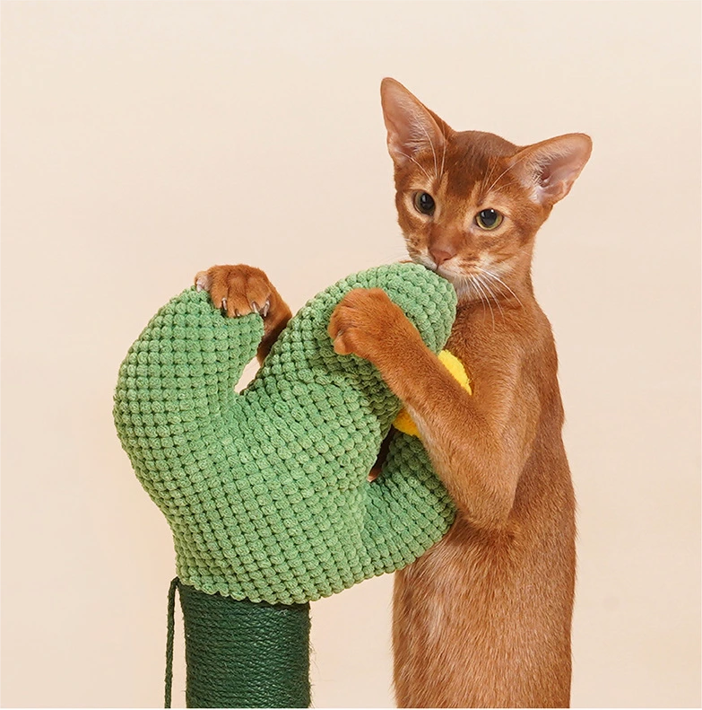 OEM Wholesale Cat Supplies Blessing Company 3
