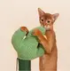 OEM Wholesale Cat Supplies Blessing Company 3