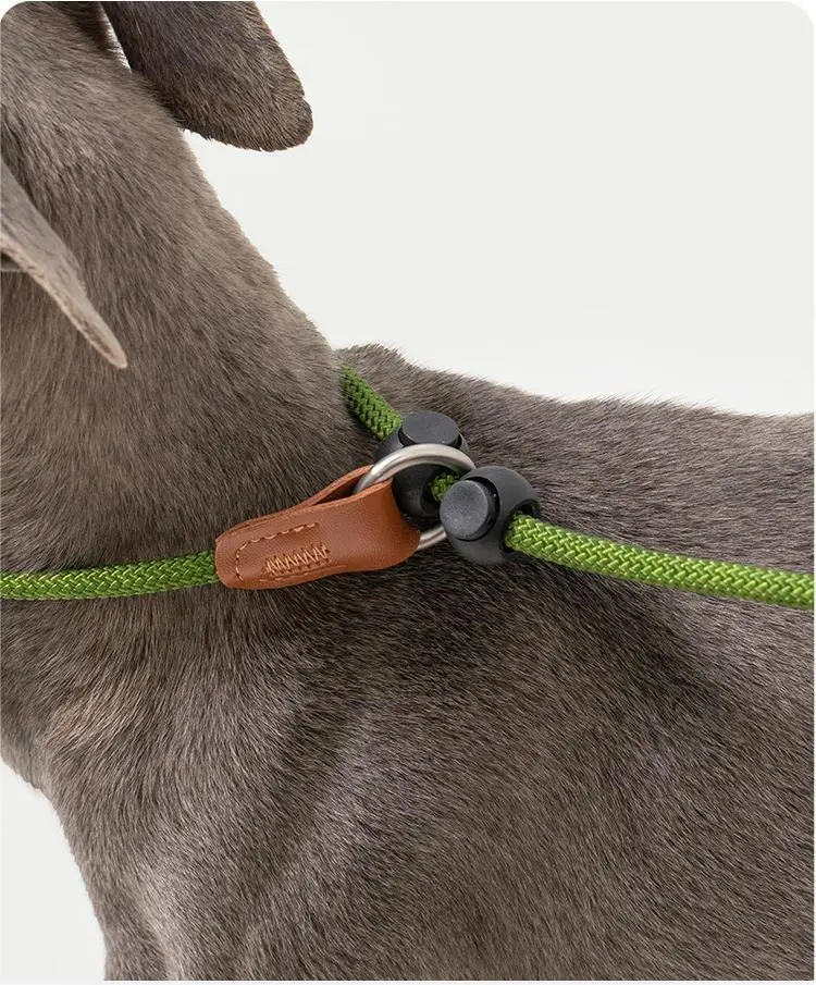 New Blessing Custom Dog Collars with Name 3