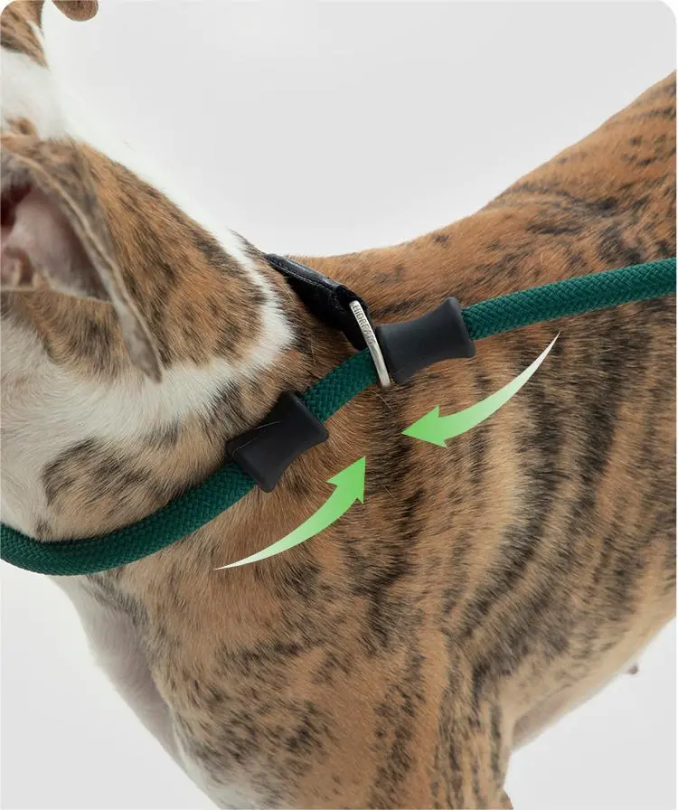 Hot Puppy Harnesses and Leashes Blessing Brand 3