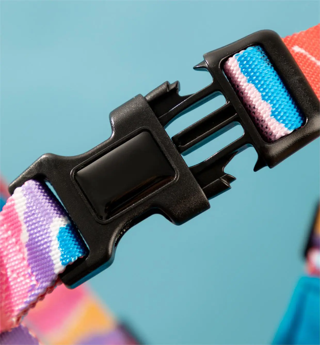 Blessing OEM Custom Dog Collar Manufacturer 2