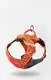 Top Blessing Tactical Dog Leashes - 4