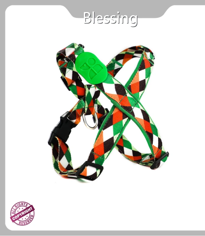 Leather Cat Collars Blessing Brand 1