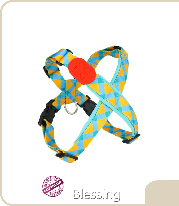 Best Blessing Dog Harness Collar Leash Set 1
