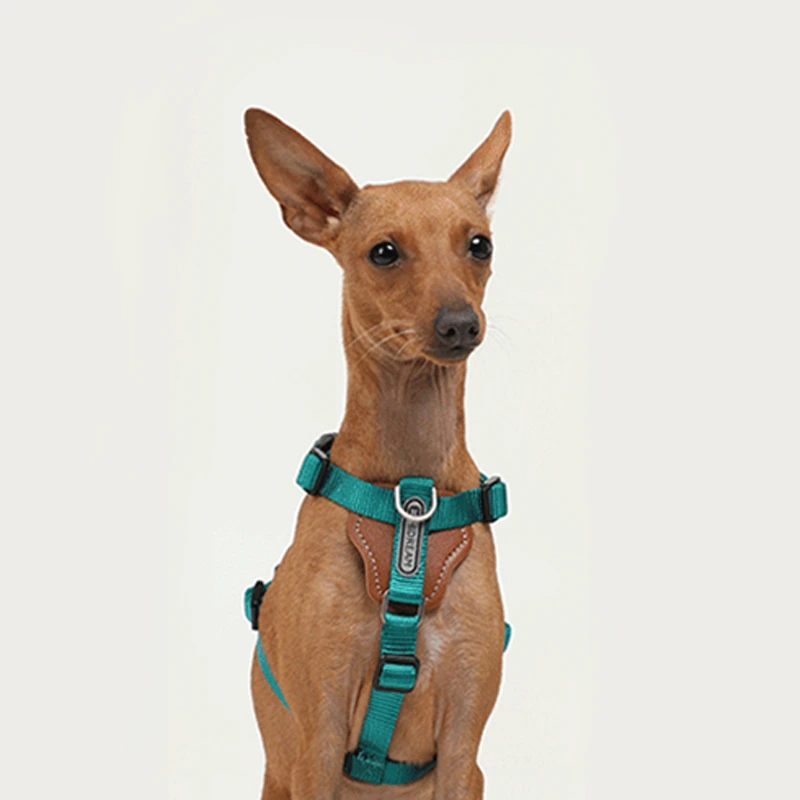 【 HD024001】Green Set Adjustable Length Dual Head Traction Dog Leash Blast Punch Puppy Dog Walking Leash Dog Leash Industrial Training Pet Chest Carrier Carry-on bag 1