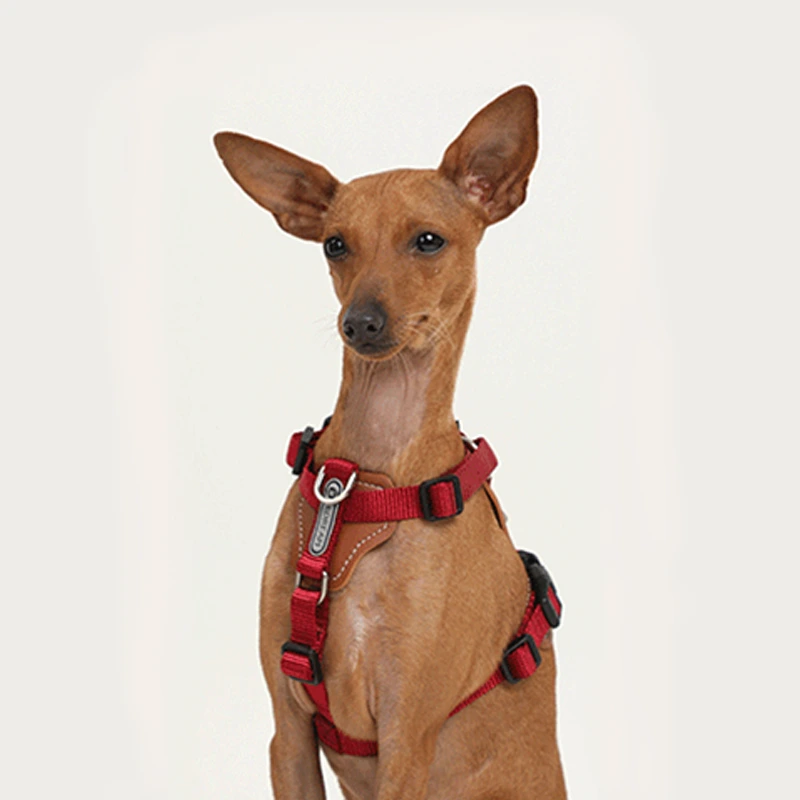 【 HD024001】Red  Carry-on bag Set Adjustable Length Dual Head Traction Dog Leash Blast Punch Puppy Dog Walking Leash Dog Leash Industrial Training Pet Chest Carrier 1
