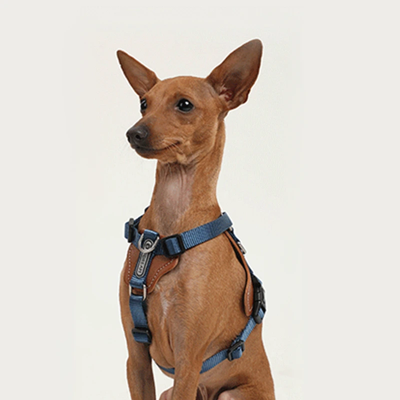 【 HD024001】Blue Set Adjustable Length Dual Head Traction  Carry-on bag  Dog Leash Blast Punch Puppy Dog Walking Leash Dog Leash Industrial Training Pet Chest Carrier 1
