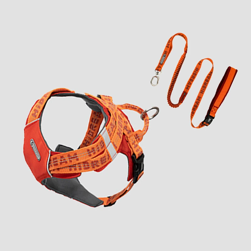 Top Blessing Tactical Dog Leashes - 7