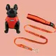 Top Blessing Tactical Dog Leashes - 9