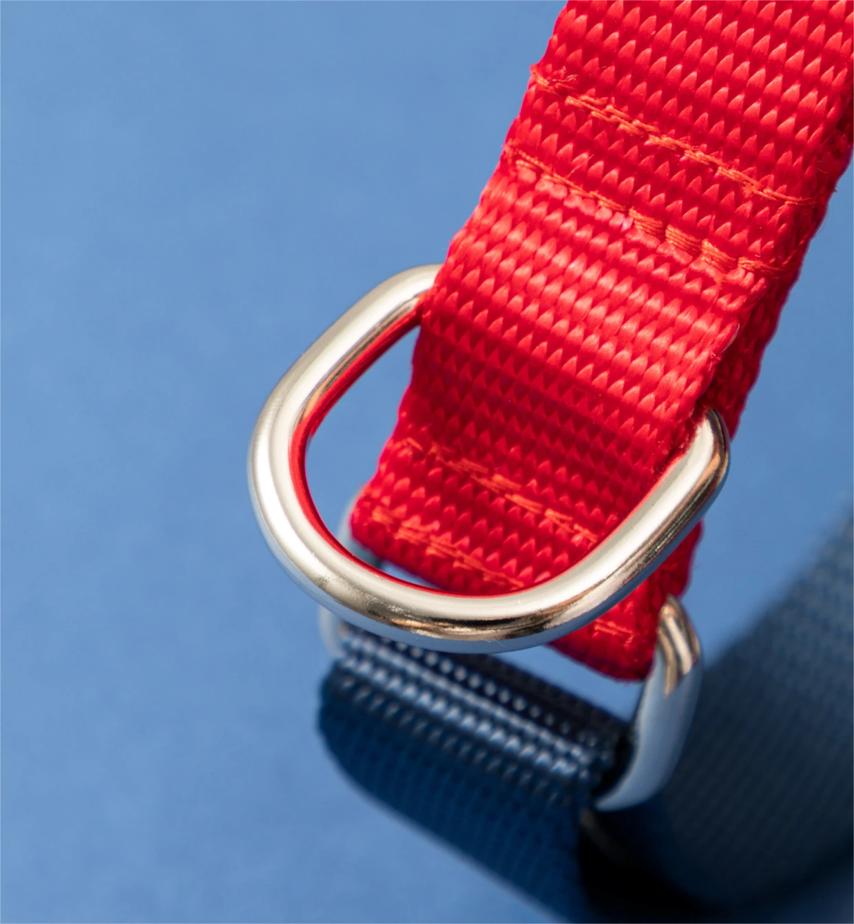 Custom Puppy Harnesses and Leashes Blessing Brand 10